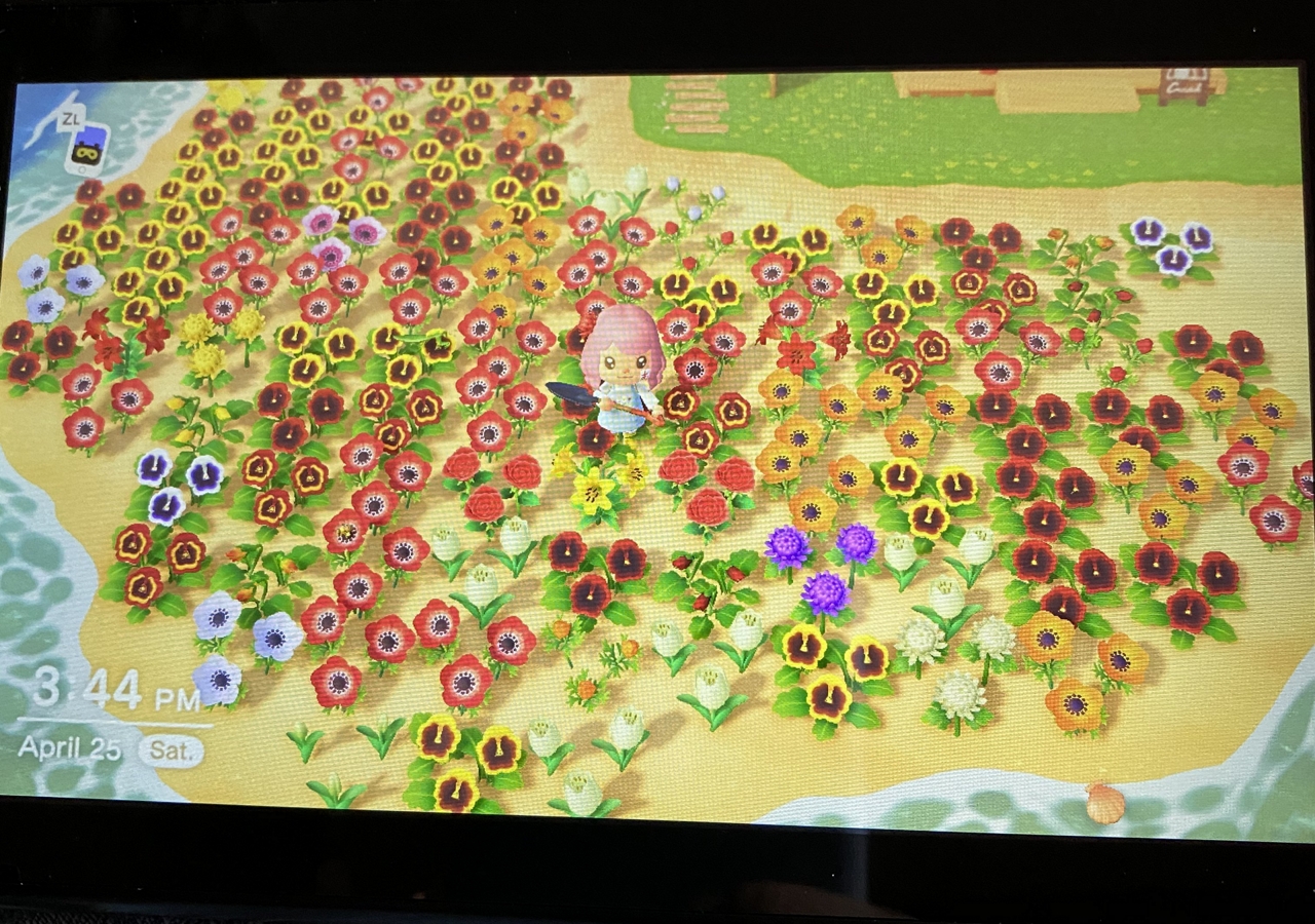 Everything You Need To Know About Acnh Flower Breeding Ninty Gamer